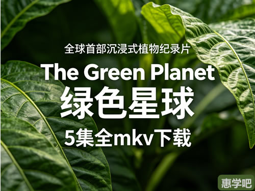 全球首部沉浸式植物纪录片《the Green Planet 绿色星球》5集全mkv下载
